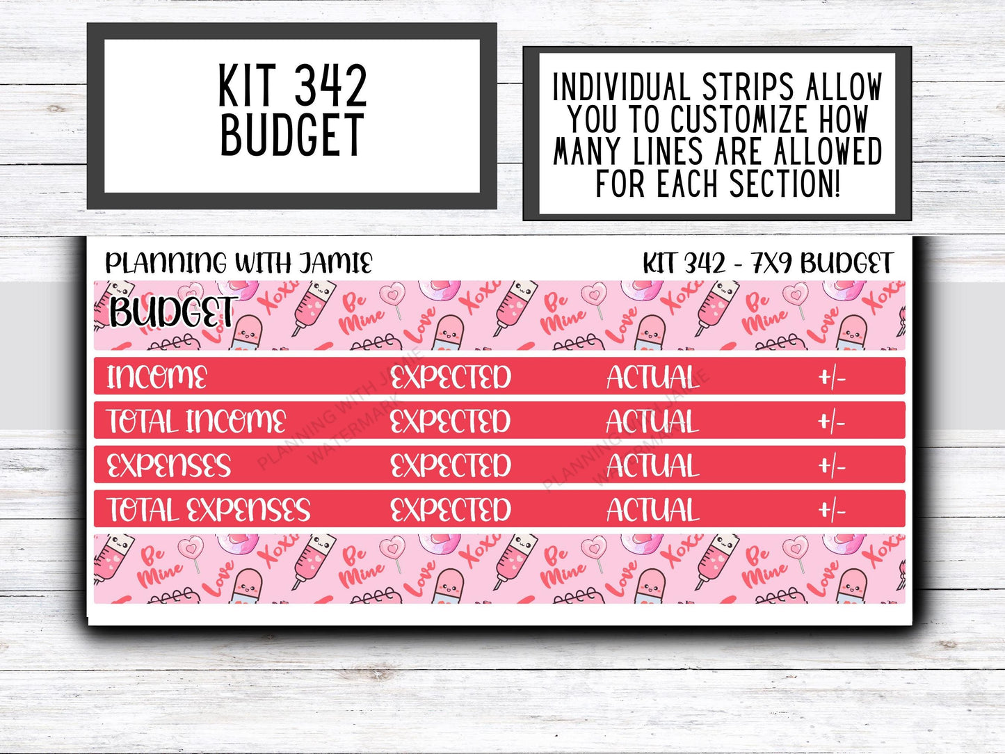 Kit 342 Erin Condren Budget Kit || BUDGET Sticker Kit || Erin Condren Daily Duo Stickers | PRETTY Stickers | VALENTINES Stickers