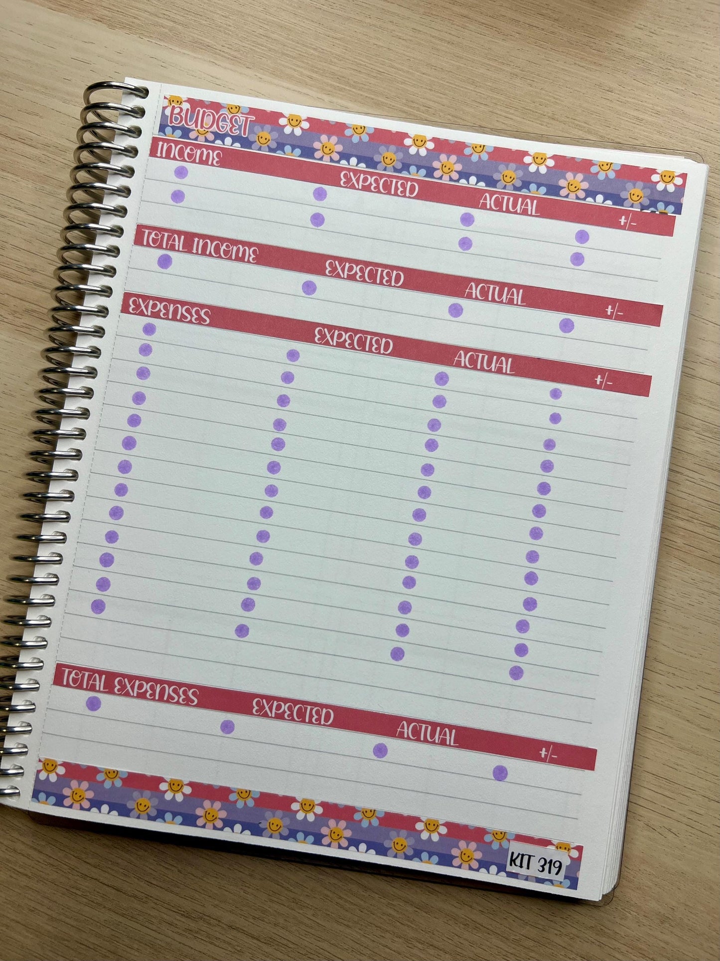 Kit 346 Erin Condren Budget Kit || BUDGET Sticker Kit || Erin Condren Daily Duo Stickers | PRETTY Stickers | SPRING Stickers