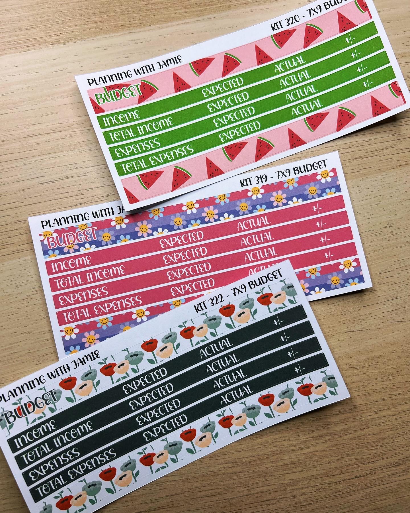 Kit 342 Erin Condren Budget Kit || BUDGET Sticker Kit || Erin Condren Daily Duo Stickers | PRETTY Stickers | VALENTINES Stickers