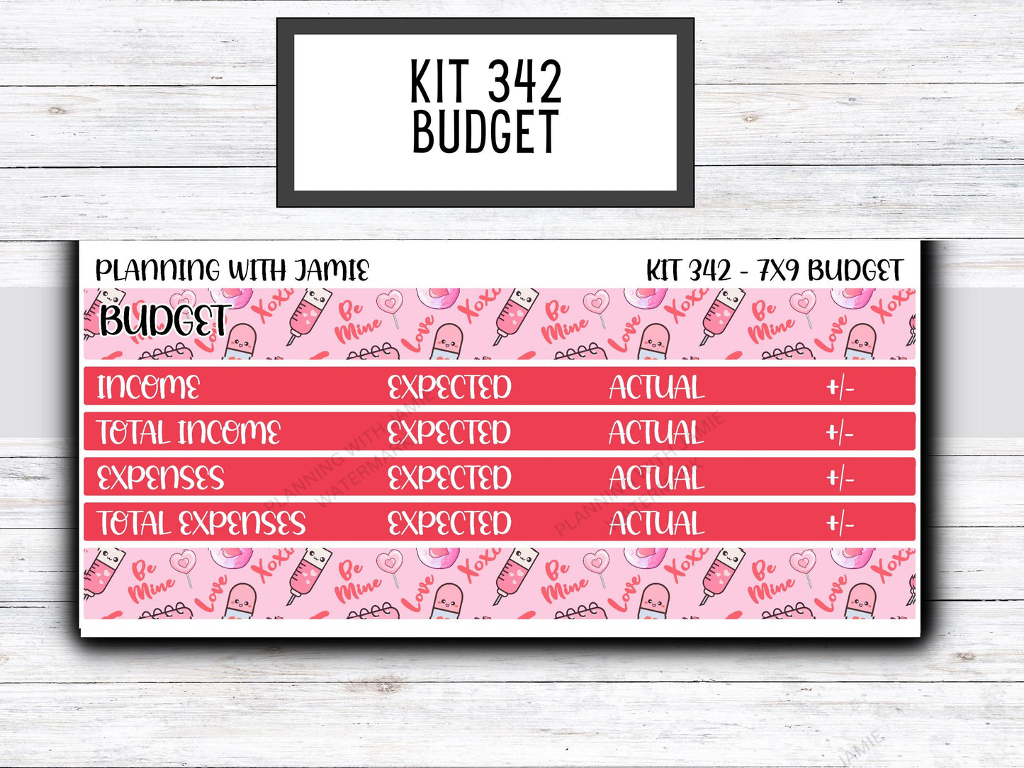 Kit 342 Erin Condren Budget Kit || BUDGET Sticker Kit || Erin Condren Daily Duo Stickers | PRETTY Stickers | VALENTINES Stickers
