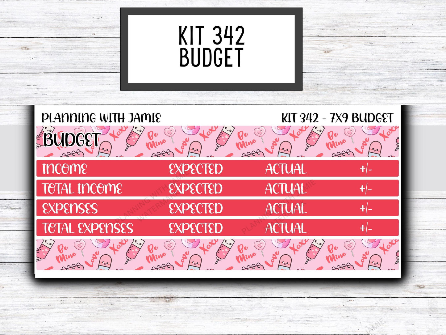 Kit 342 Erin Condren Budget Kit || BUDGET Sticker Kit || Erin Condren Daily Duo Stickers | PRETTY Stickers | VALENTINES Stickers