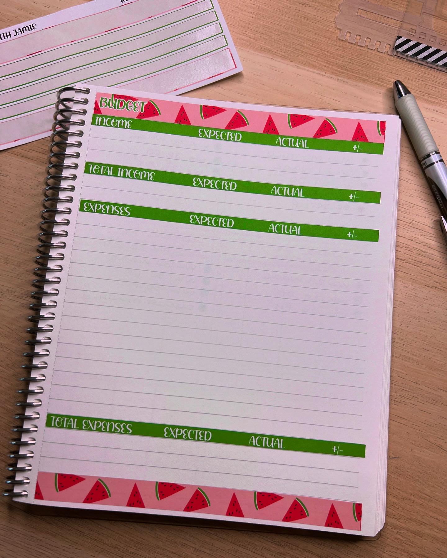 Kit 342 Erin Condren Budget Kit || BUDGET Sticker Kit || Erin Condren Daily Duo Stickers | PRETTY Stickers | VALENTINES Stickers