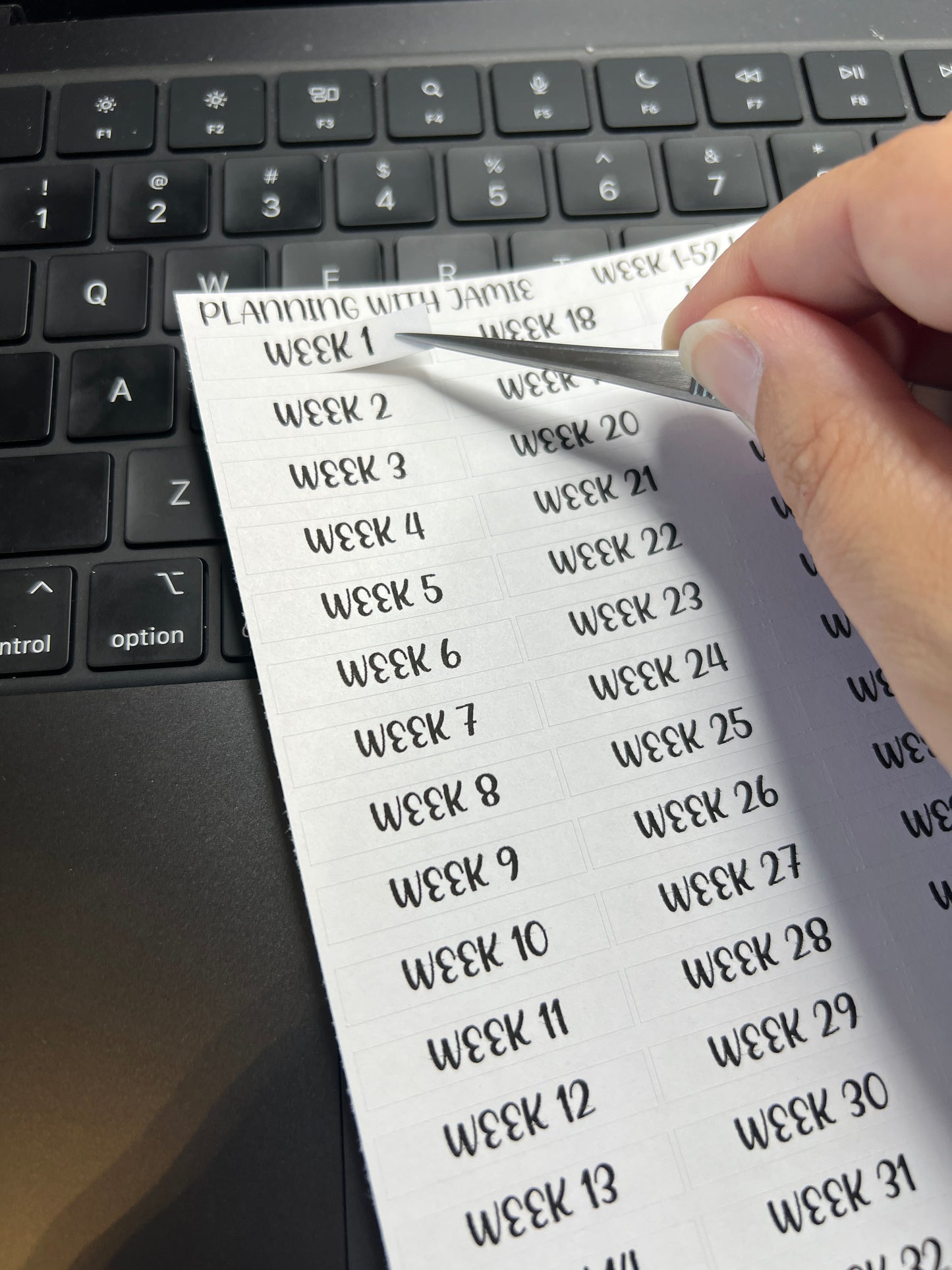 Week 1-52 Script Stickers