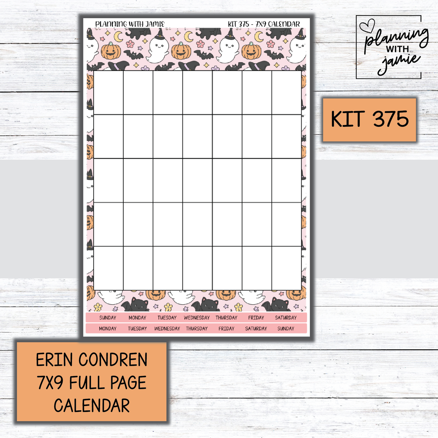 KIT 375 Erin Condren 7X9 Full Page Calendar