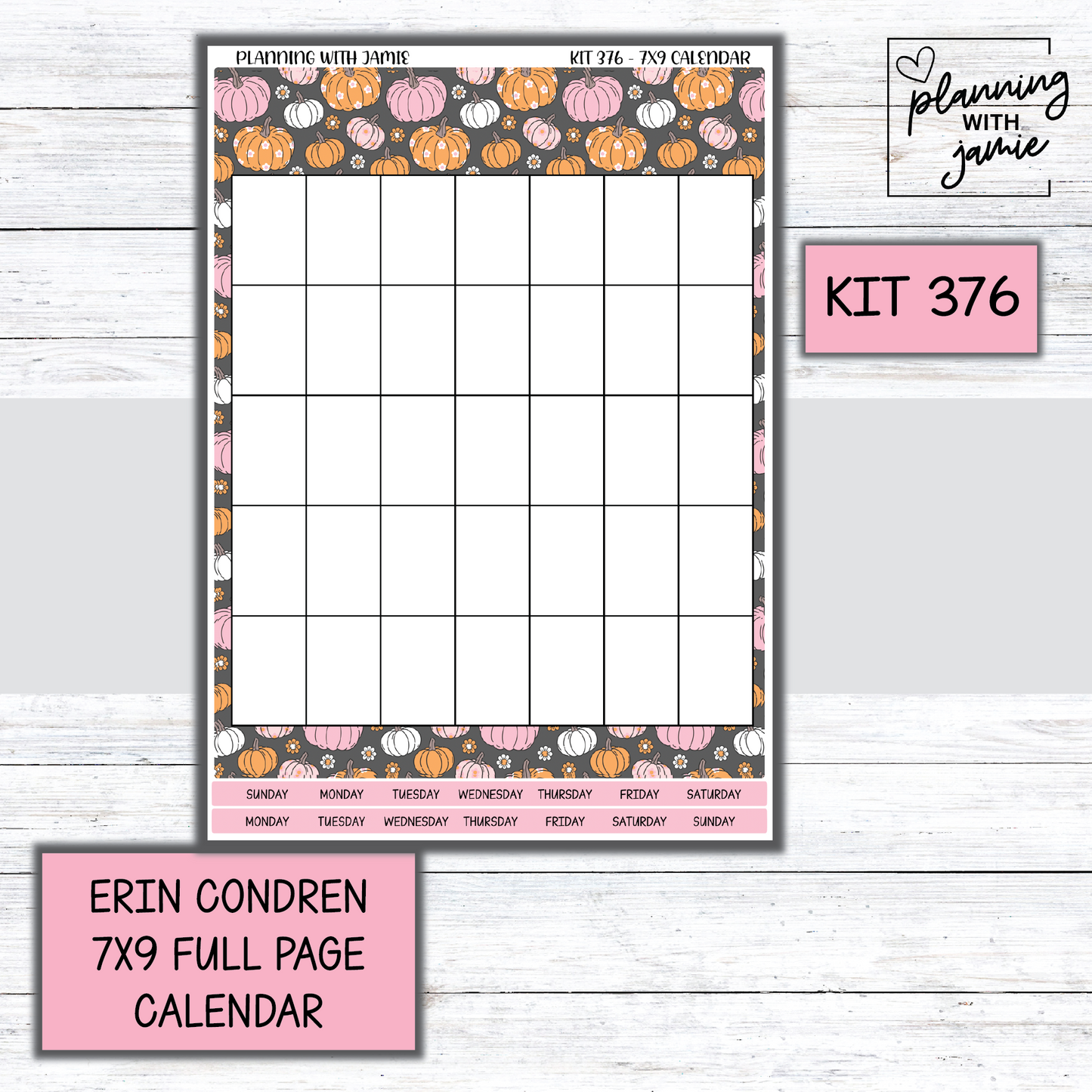 KIT 376 Erin Condren 7X9 Full Page Calendar