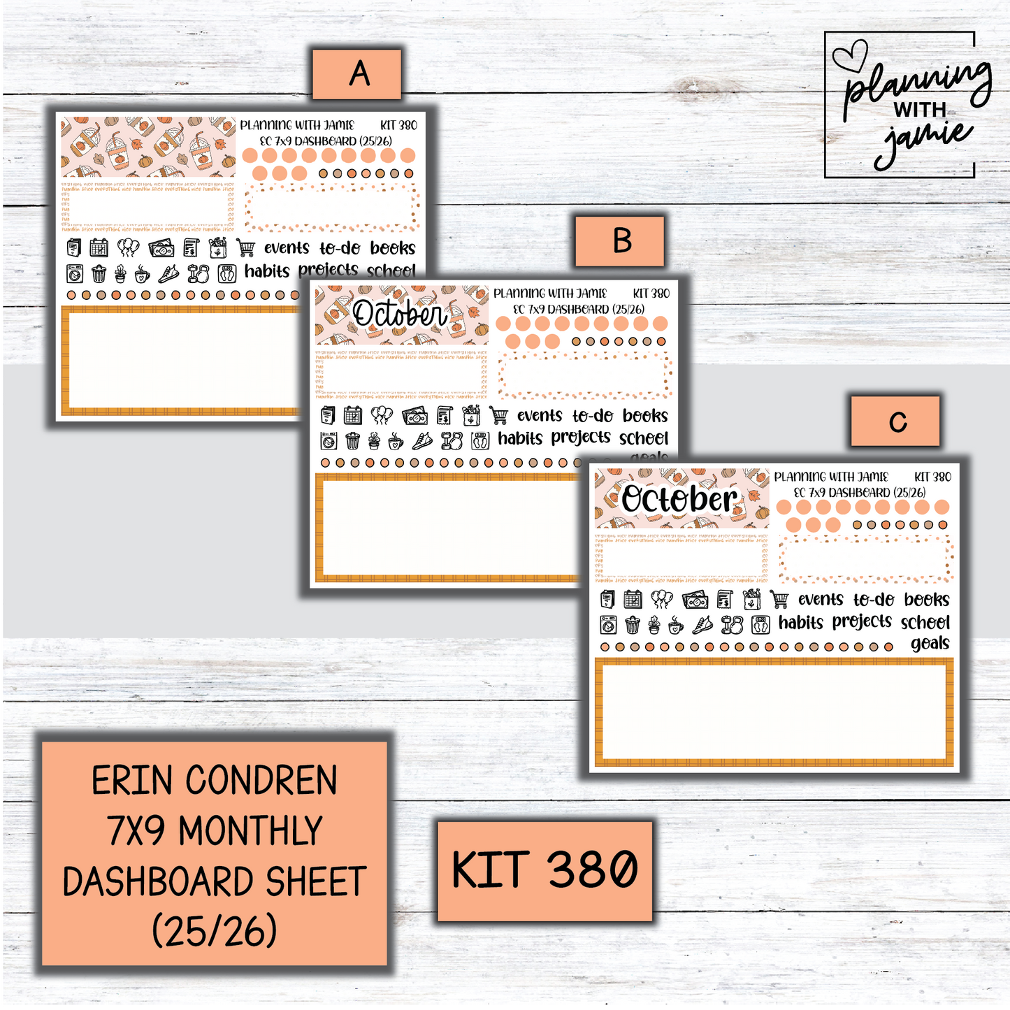 KIT 380 7X9 Erin Condren Monthly Dashboard Sticker Kit