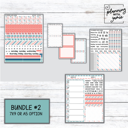 Kit 422 Erin Condren Daily Duo Sticker Kit